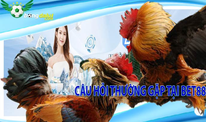 Câu hỏi thường gặp tại Bet88