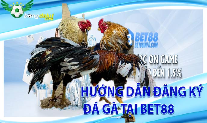 Hướng dẫn đăng ký đá gà tại Bet88