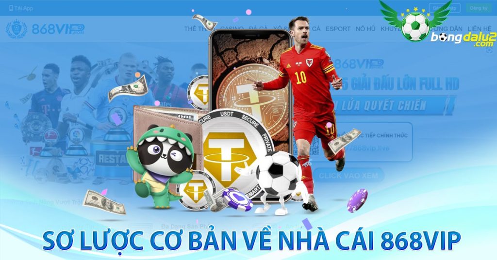 Sơ lược cơ bản về Nhà cái 868vip 