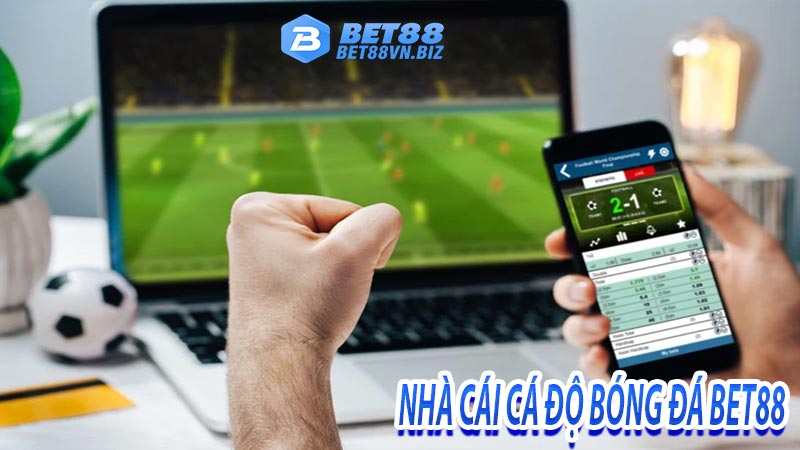 Nhà cái cá độ bóng đá