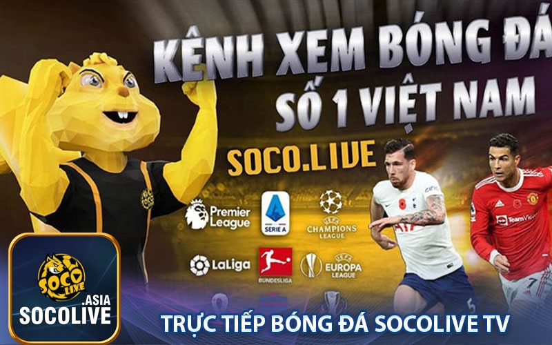 Trực tiếp bóng đá socolive tv 