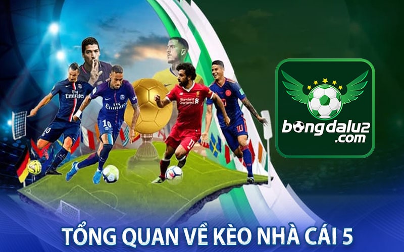 Tổng quan về kèo nhà cái 5