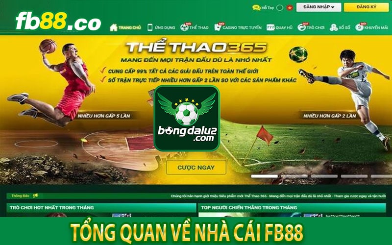 Tổng quan chung về nhà cái cá cược hàng đầu thị trường fb88