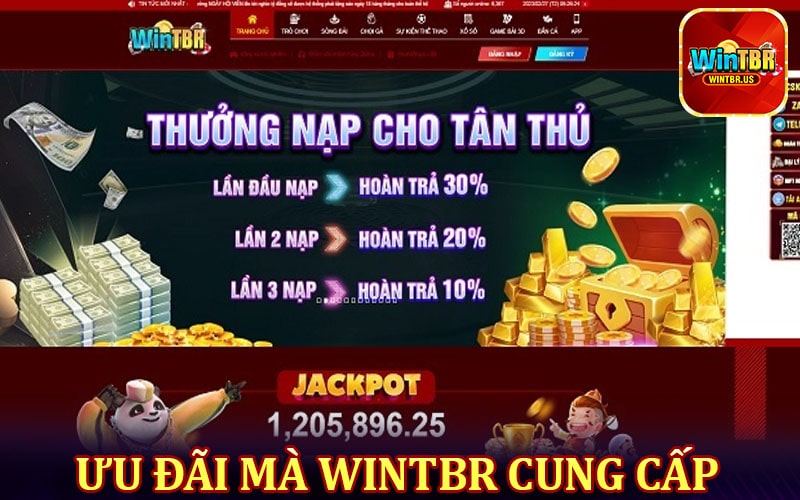 Chương trình ưu đãi mà wintbr cung cấp 