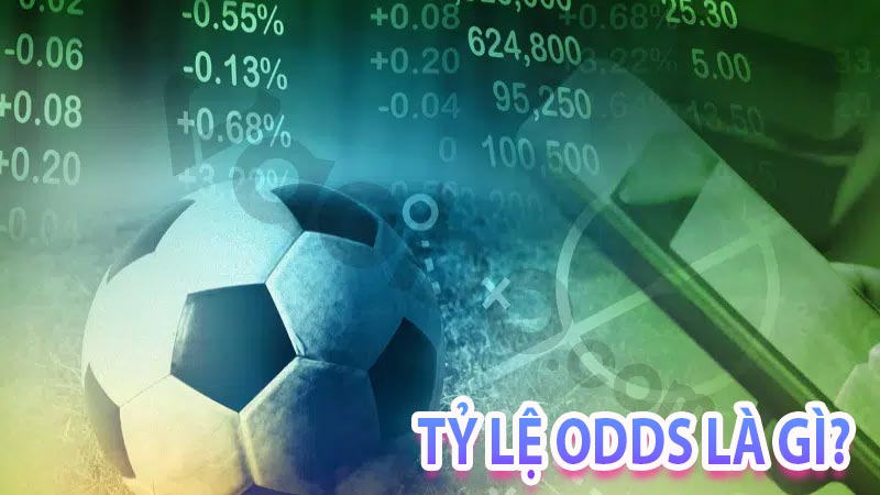 Khái niệm và hiểu biết về tỷ lệ odds là gì?