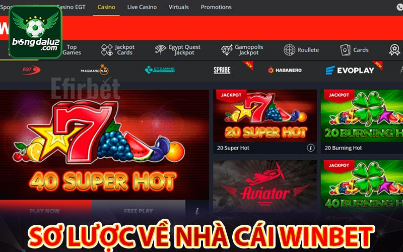 Vài nét sơ lược về sân chơi cá cược winbet 