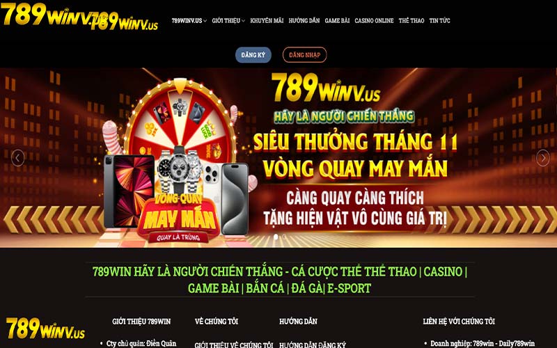 Thông tin về nhà cái 789win